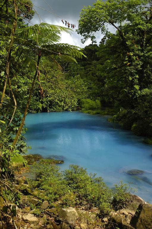 Hotel Catarata Rio Celeste 비자구아 외부 사진