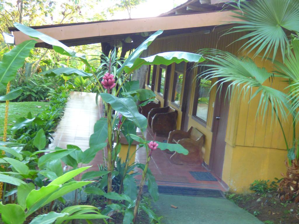 Hotel Catarata Rio Celeste 비자구아 외부 사진