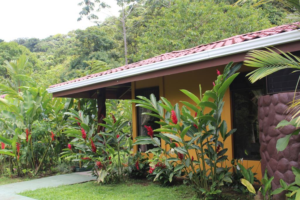 Hotel Catarata Rio Celeste 비자구아 외부 사진