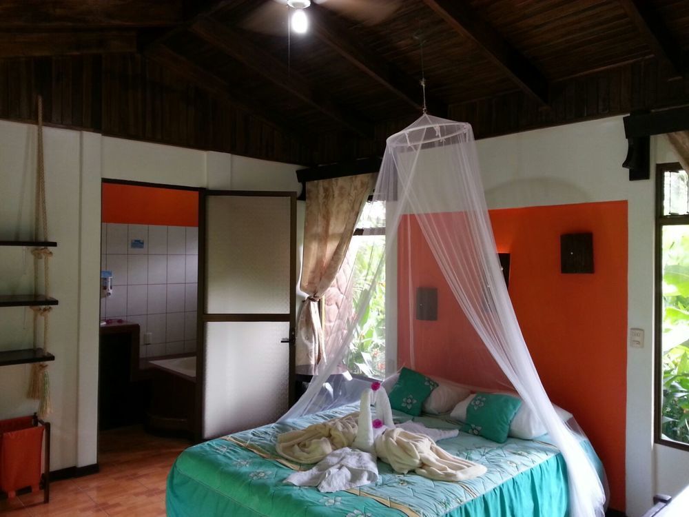 Hotel Catarata Rio Celeste 비자구아 외부 사진