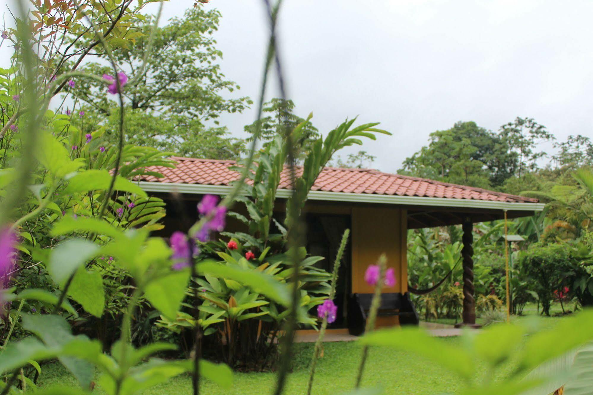 Hotel Catarata Rio Celeste 비자구아 외부 사진