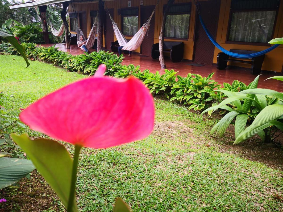 Hotel Catarata Rio Celeste 비자구아 외부 사진