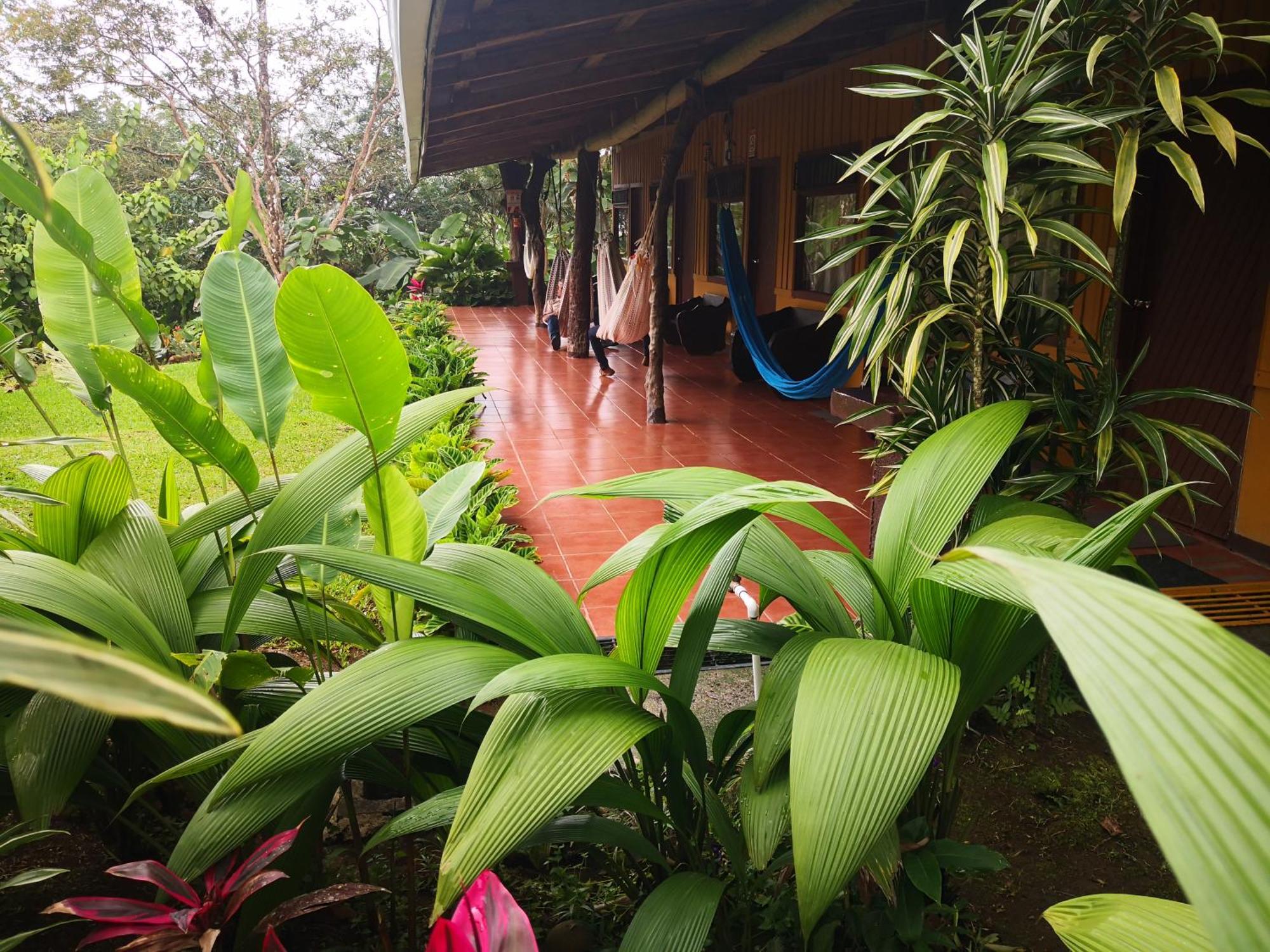 Hotel Catarata Rio Celeste 비자구아 외부 사진